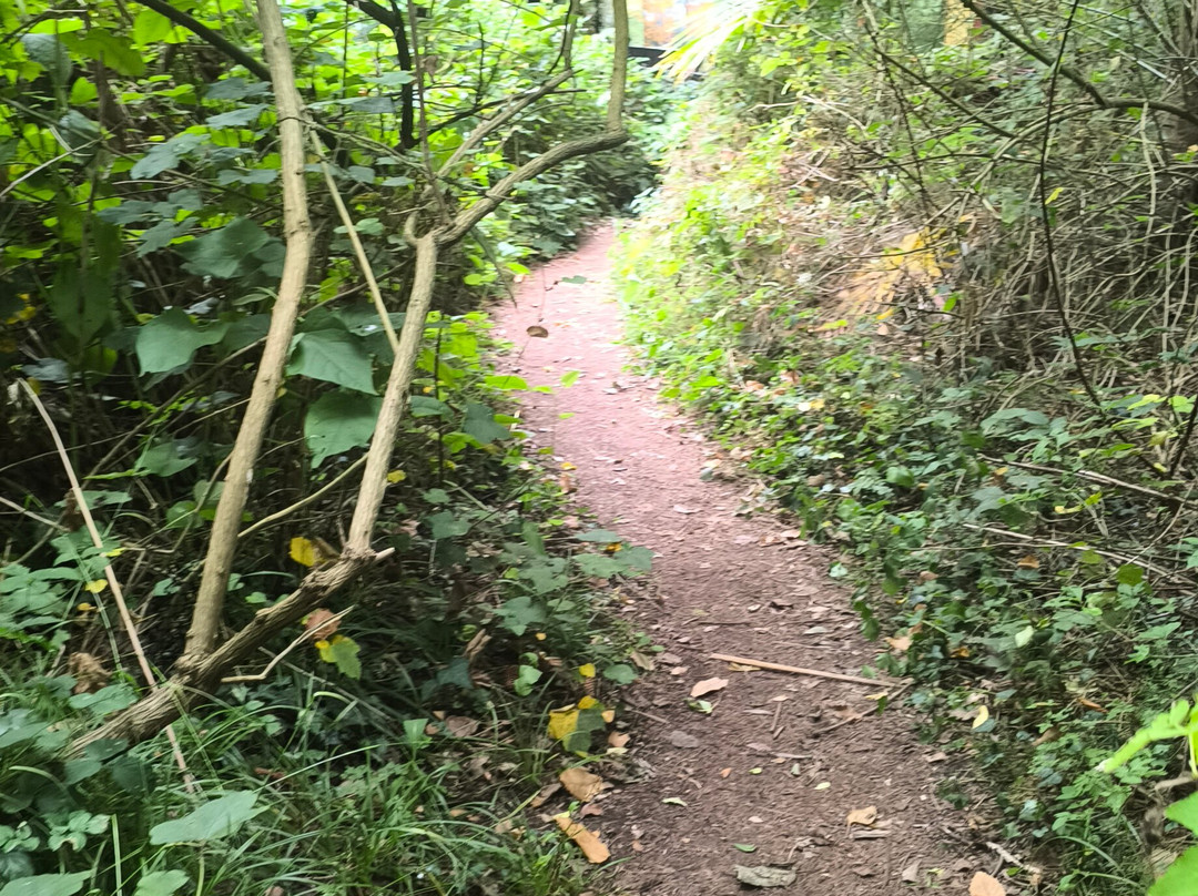 Jungle Garden-Eu必去景点