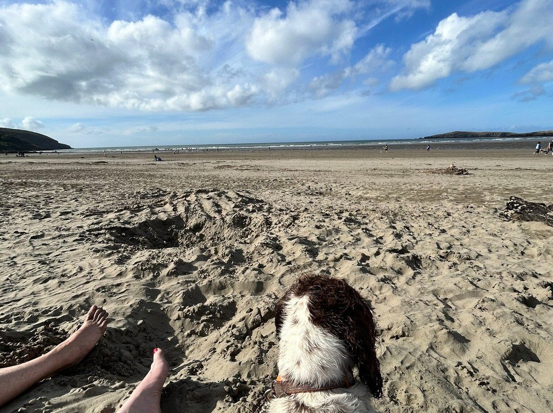 Poppit Sands Beach-Cardigan必去景点