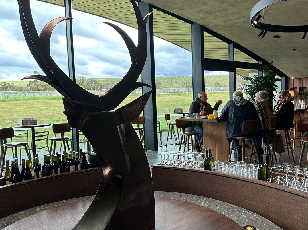 St Huberts Cellar Door-科尔德斯特里姆必去景点