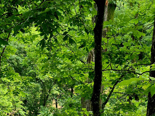 Sharon Bluffs state park