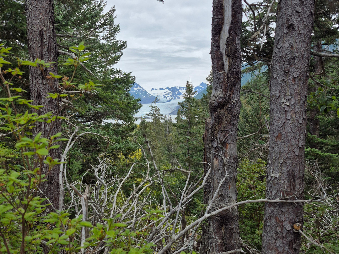 St. Augustine's Sea Kayak And Day Tours-荷马必去景点