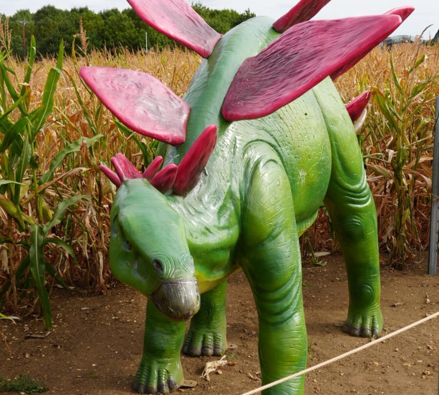 The Patch MK-米尔顿凯恩斯必去景点