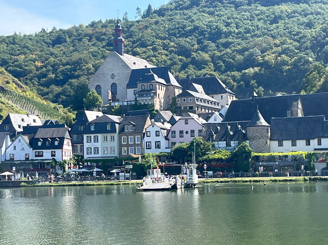 Parkhotel Cochem主图