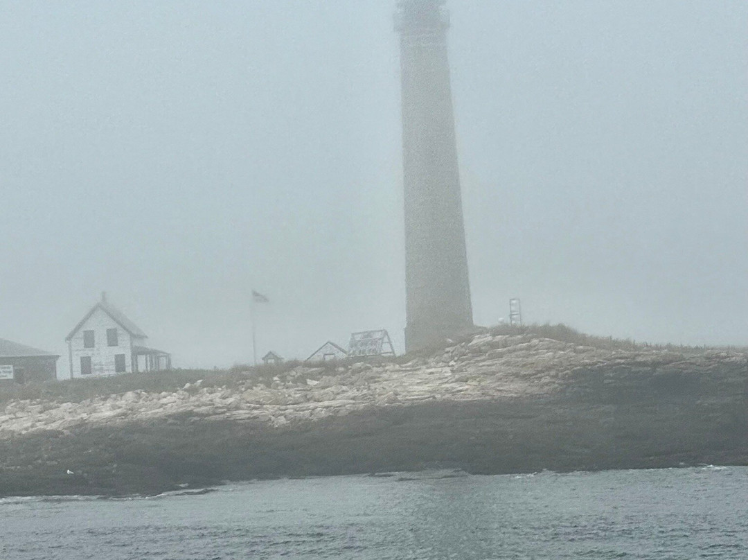 Acadian Boat Tours Puffins, Lighthouses, & Seabirds Cruise-巴港必去景点