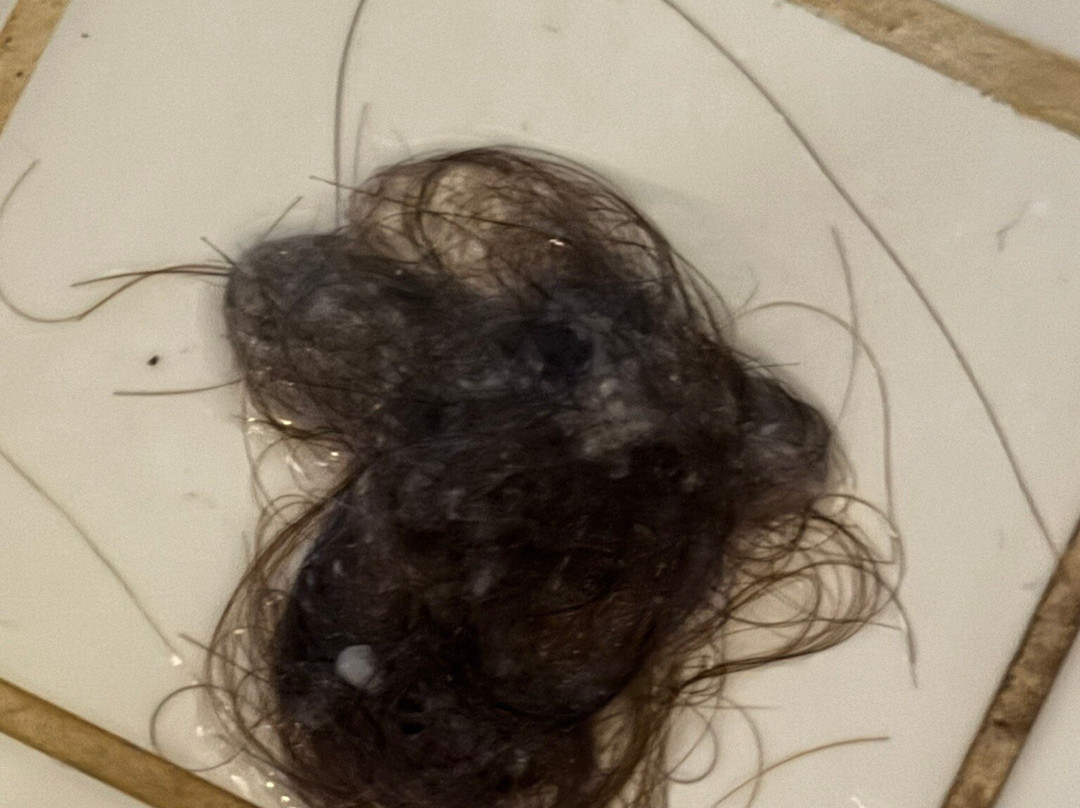 Hotel Restaurant Kuko主图