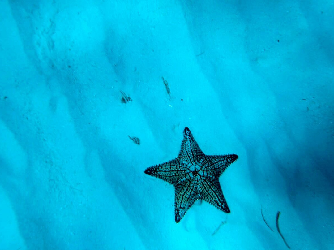 Isla Catalina-拉罗马纳必去景点