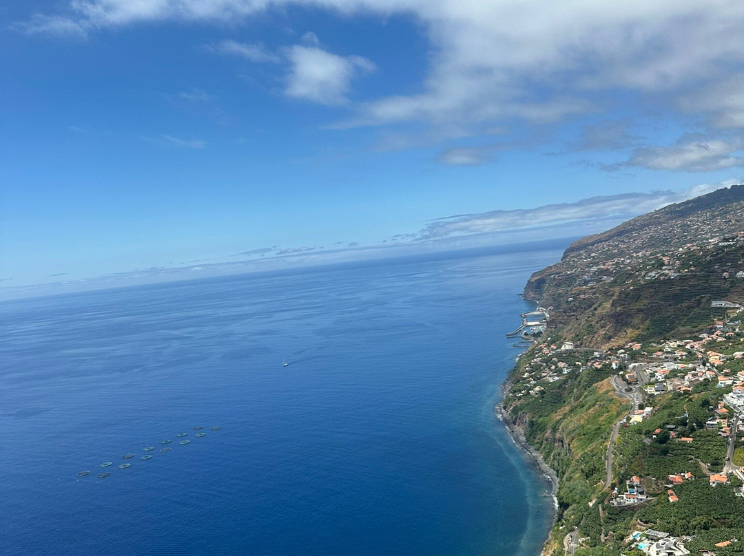 Madeira Paragliding-Arco da Calheta必去景点