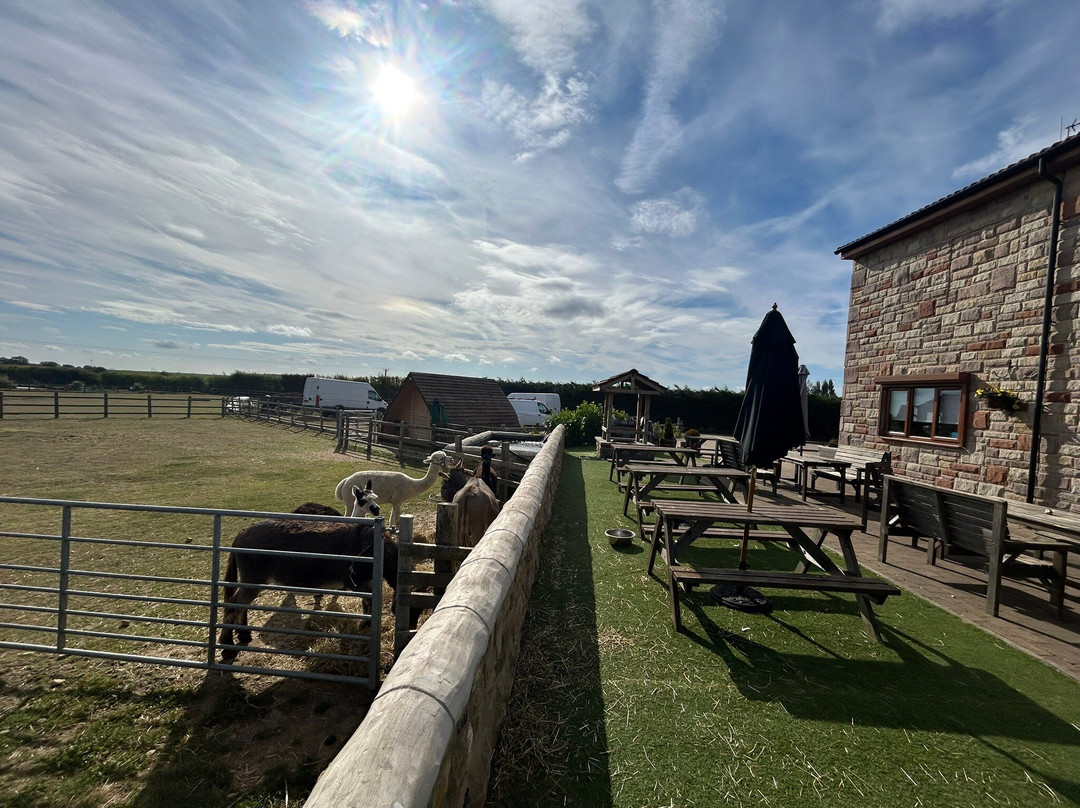 Leger Lakes Tearoom