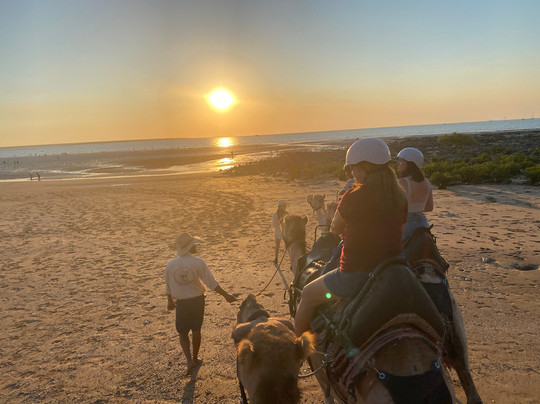 Darwin Camel Rides-达尔文市必去景点