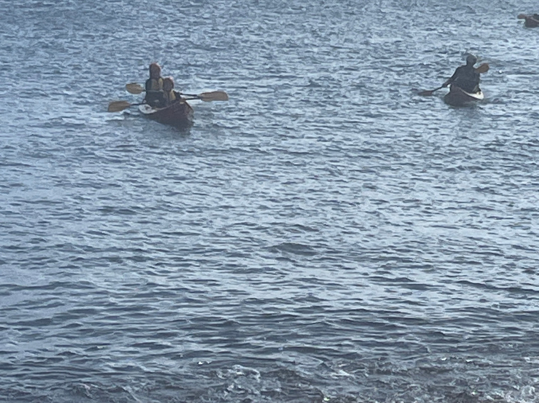 Lizard Adventure-Lizard必去景点