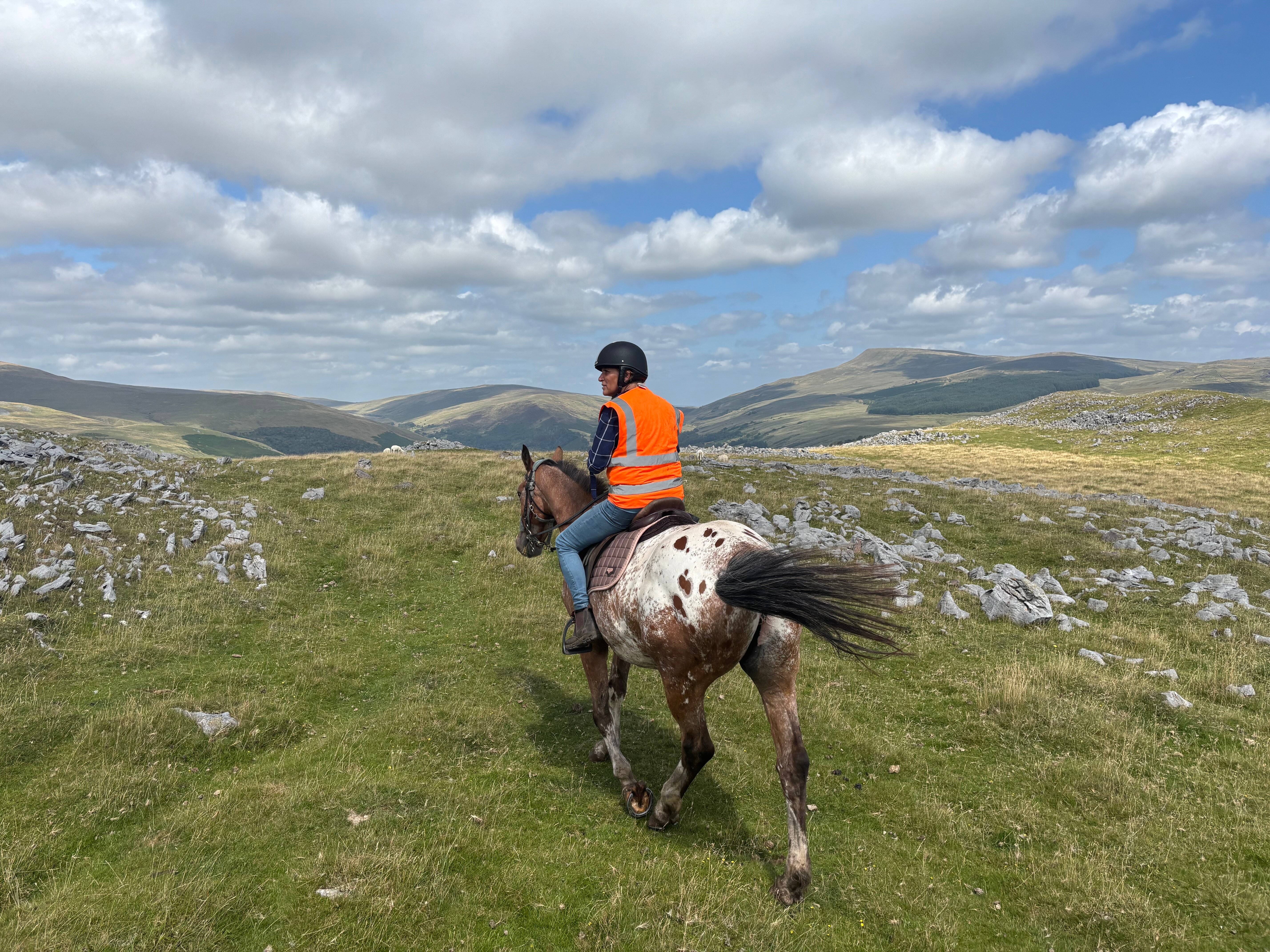 彭特利马术酒店-官方