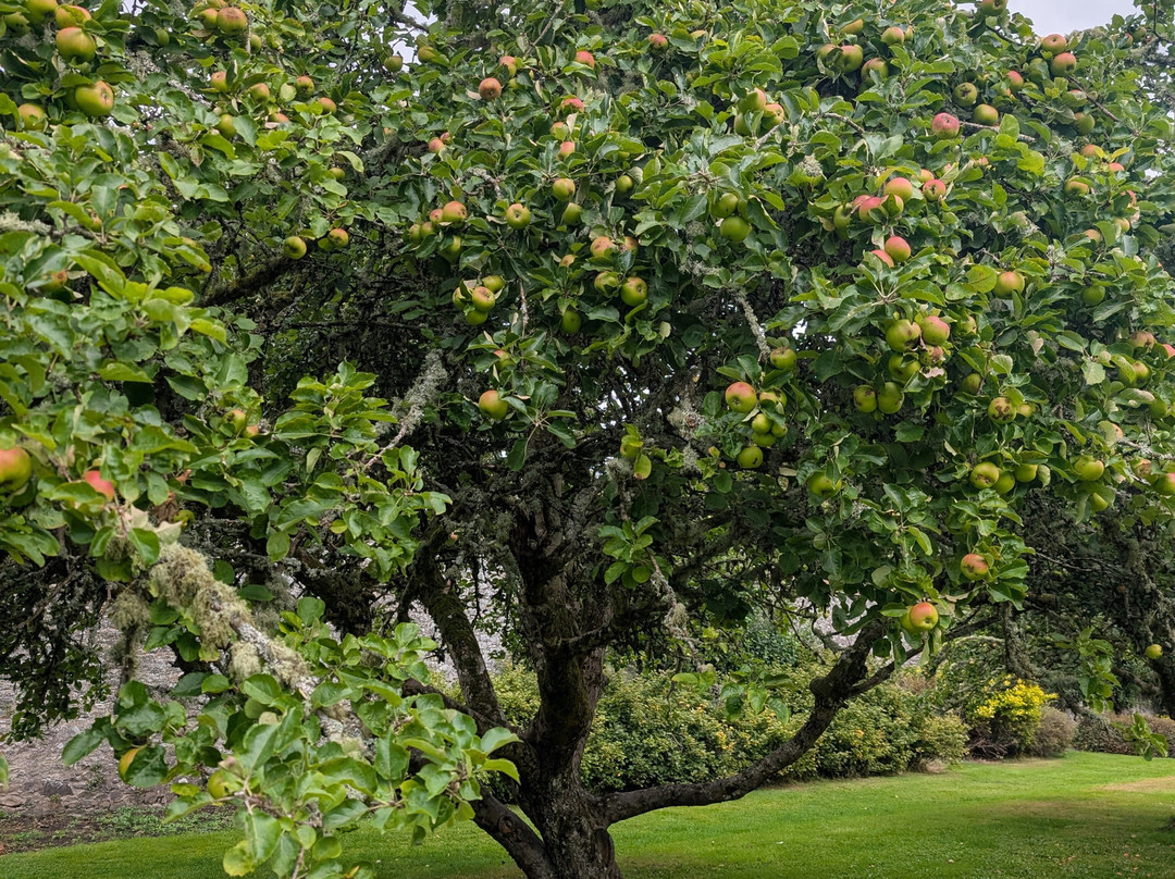 Traquair House & Brewery-Innerleithen必去景点