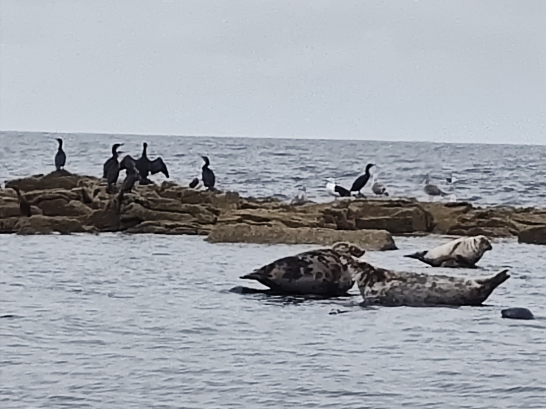 North 58 Sea Adventures-Lossiemouth必去景点