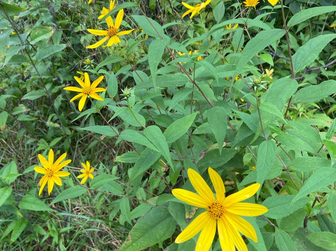 Ledges State Park-Madrid必去景点