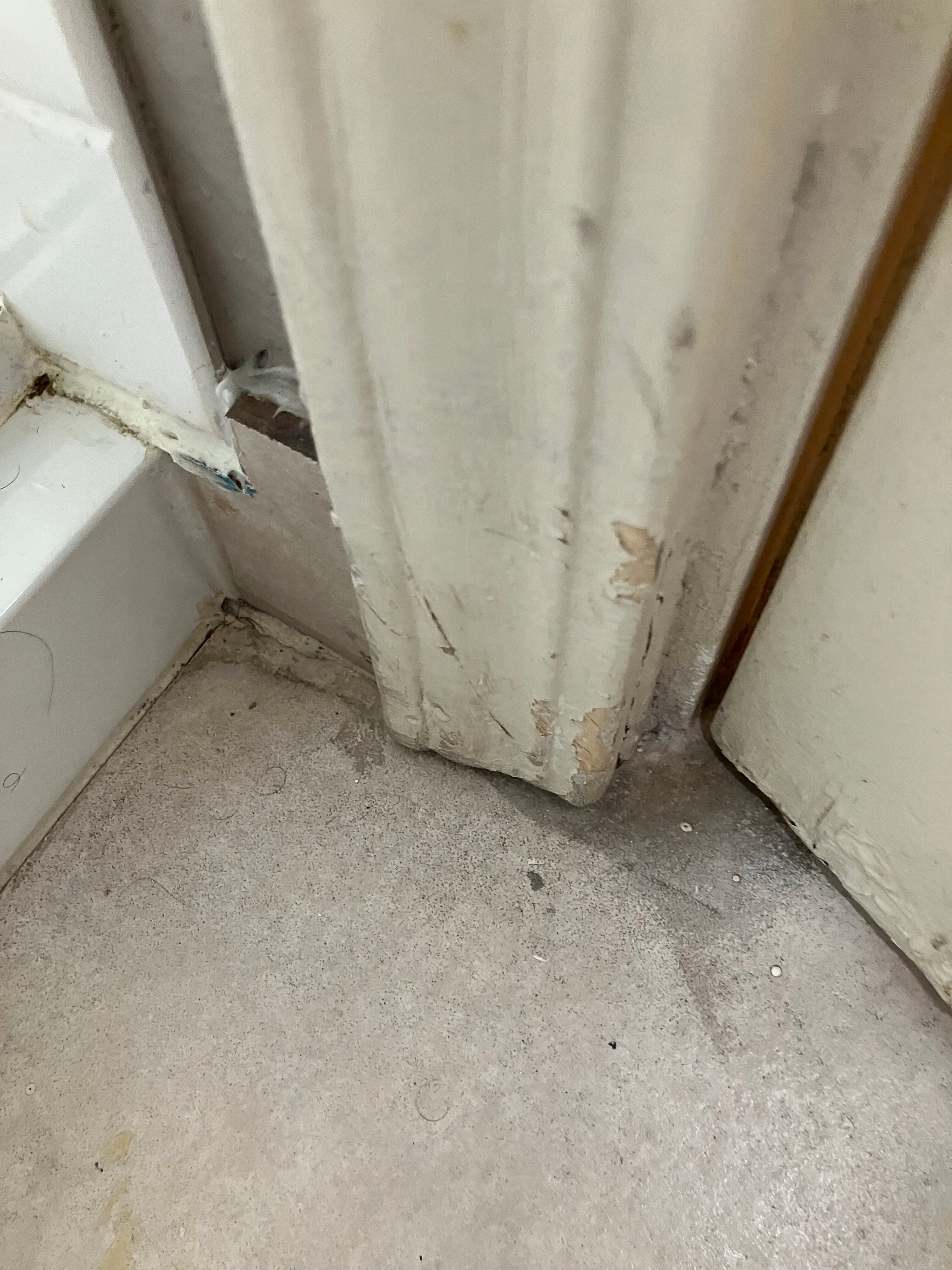 Best Western Andersen's Inn-浴室