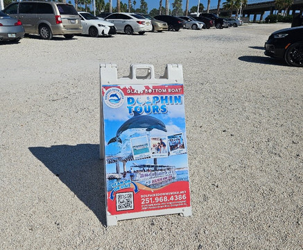 Dolphins Down Under-橙色海湾必去景点