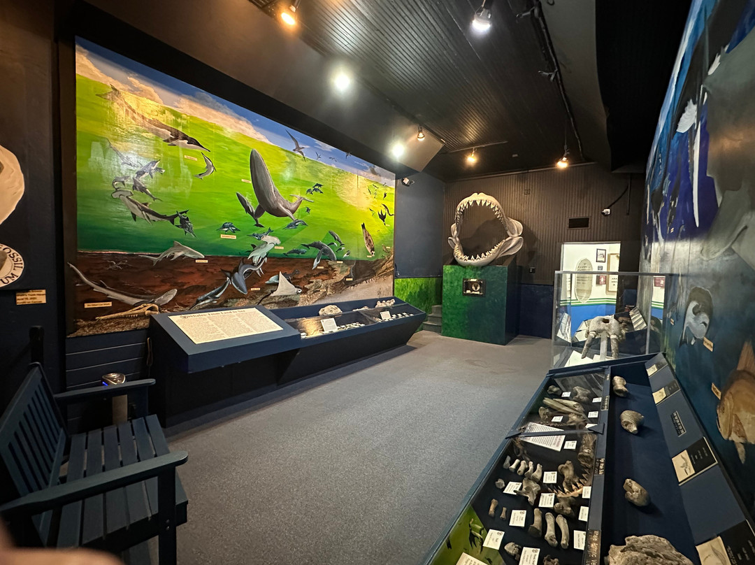 Aurora Fossil Museum-Aurora必去景点