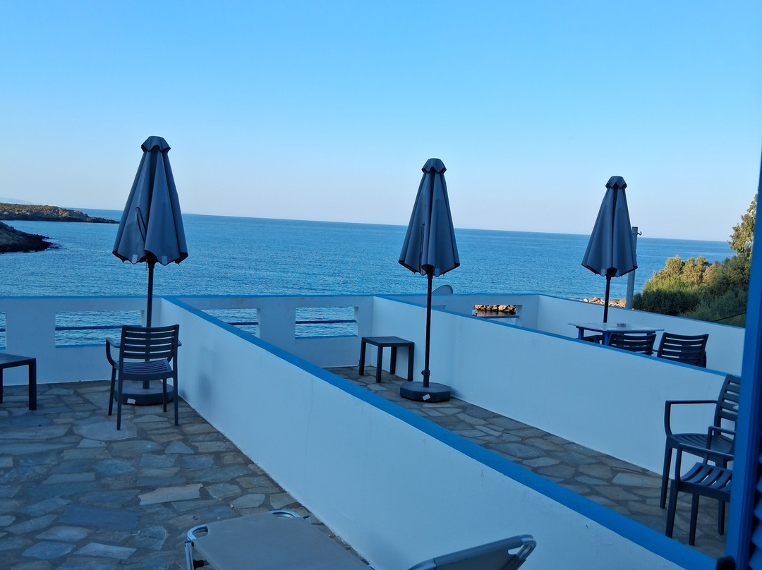 The Old Phoenix主图