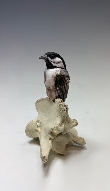 Higher Art Gallery-特拉弗斯城必去景点