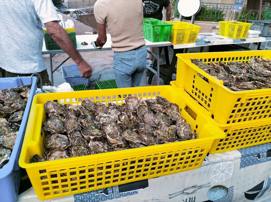 Les Marches de Collioure-科利乌尔必去景点