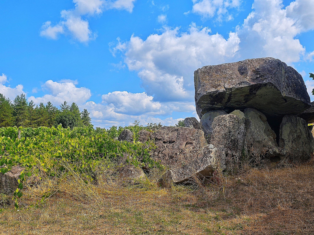 Dolmen de Pierre Folle-Montguyon必去景点