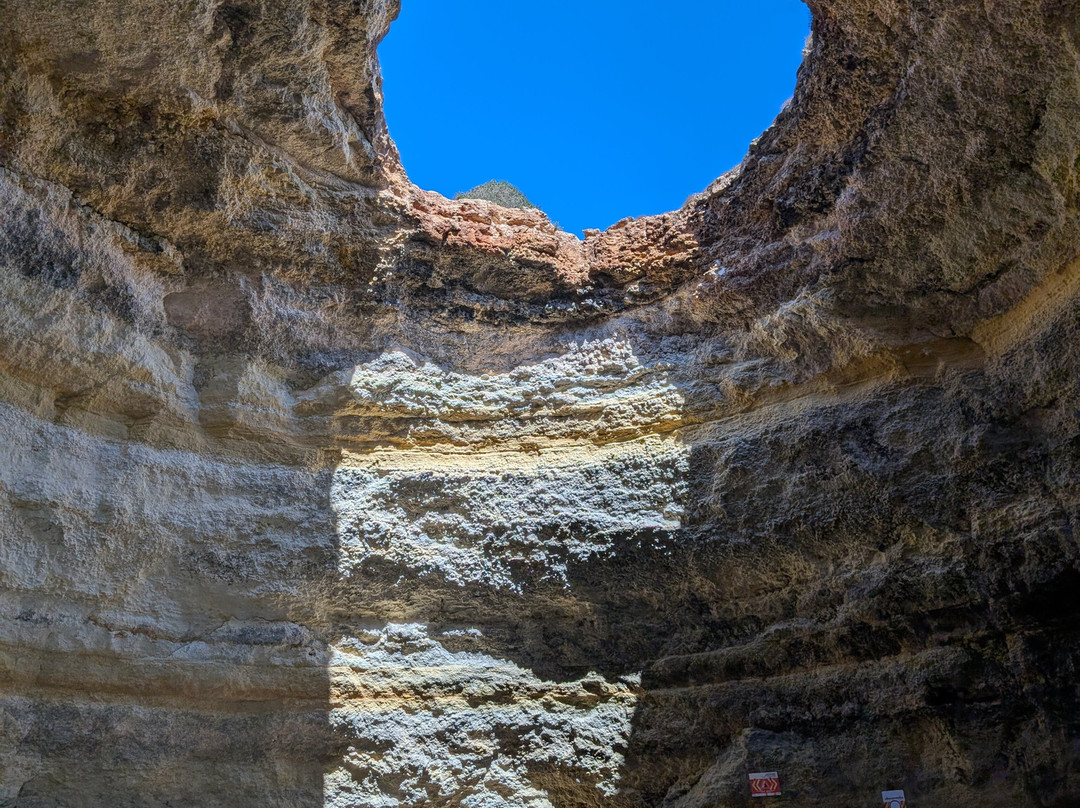 Wildwatch Algarve-费拉古多必去景点