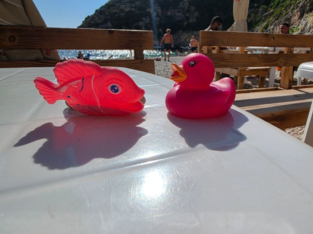 TRIPME.TODAY Boat Tour & Boat Trips Vlore-夫罗勒必去景点