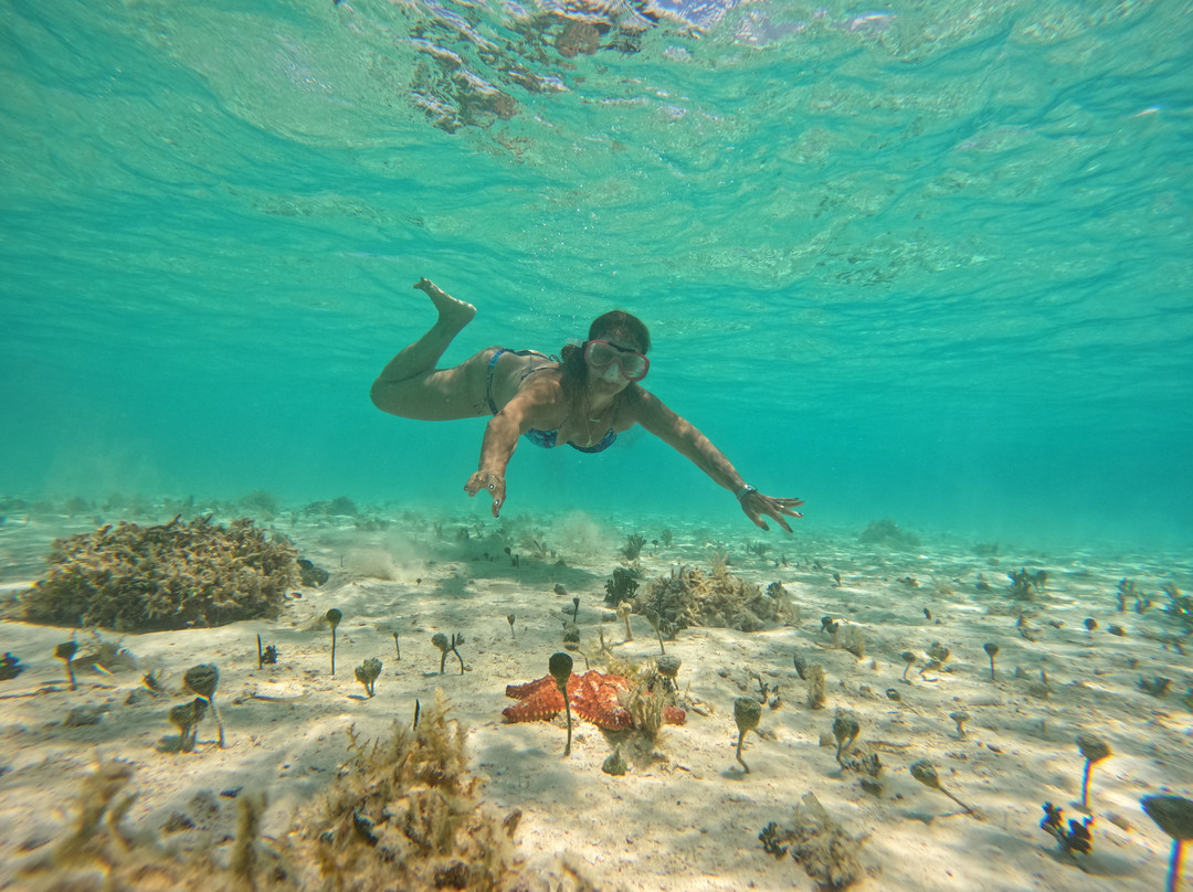 Isla Perro-San Blas Islands必去景点