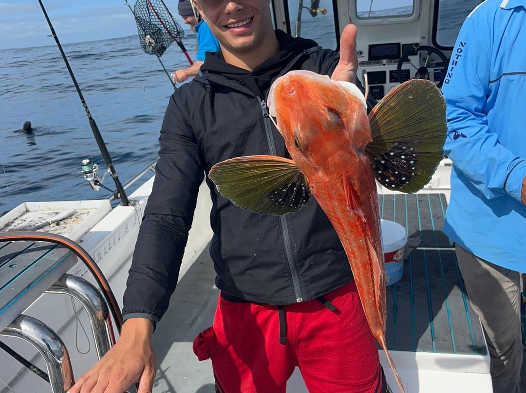 Delarey Charters-圣法兰西斯港必去景点