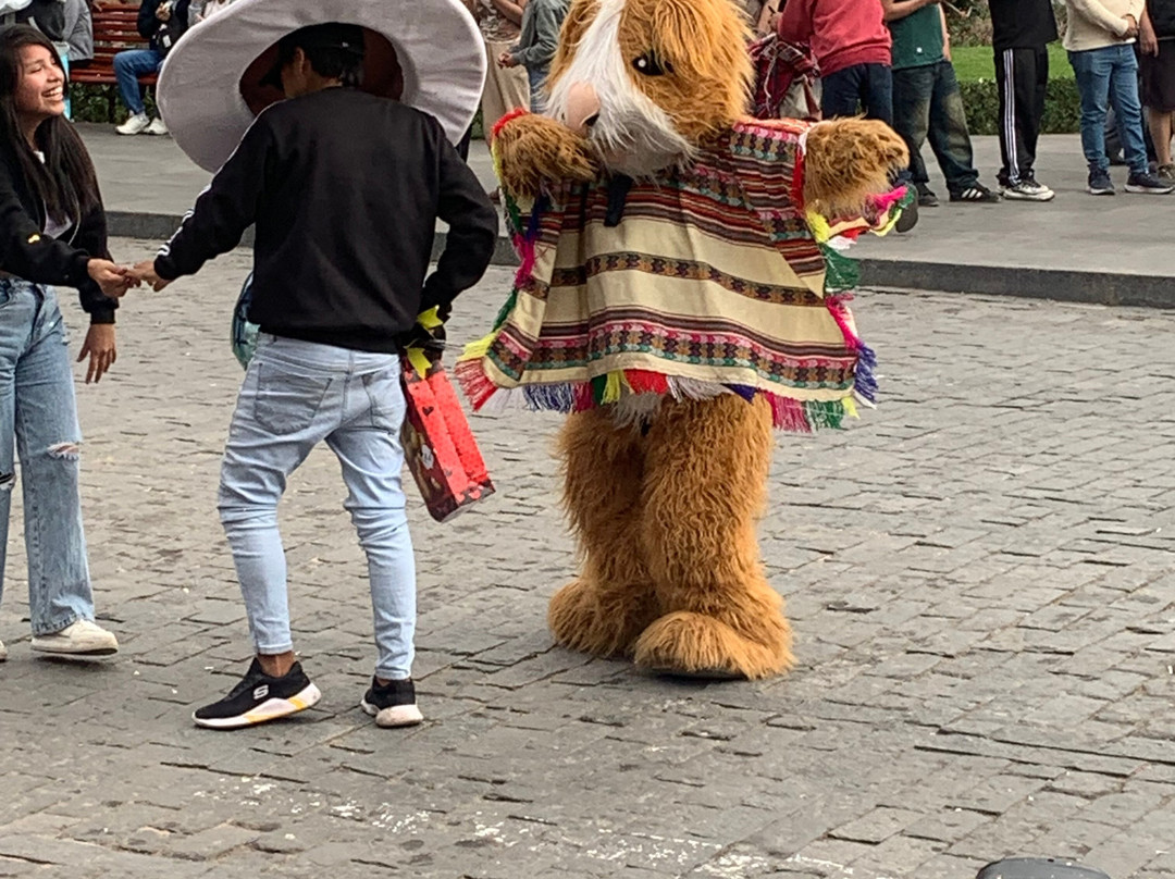 Plaza de Armas-阿雷基帕必去景点
