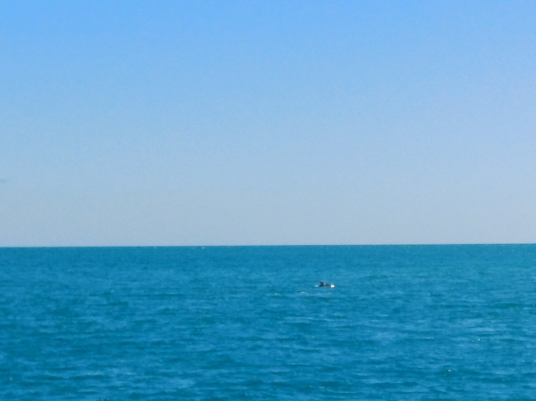 Motobarca Vittorio - Day Tours-佩斯基奇必去景点