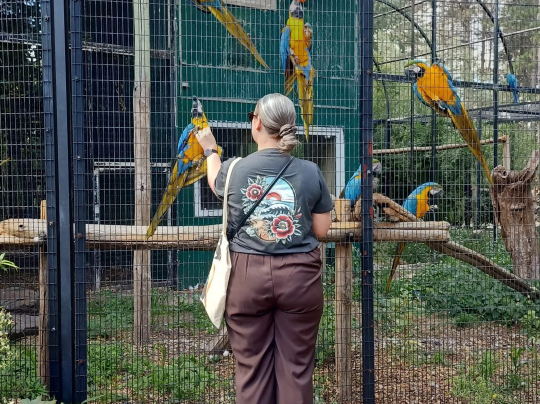 Zoo Veldhoven-Veldhoven必去景点