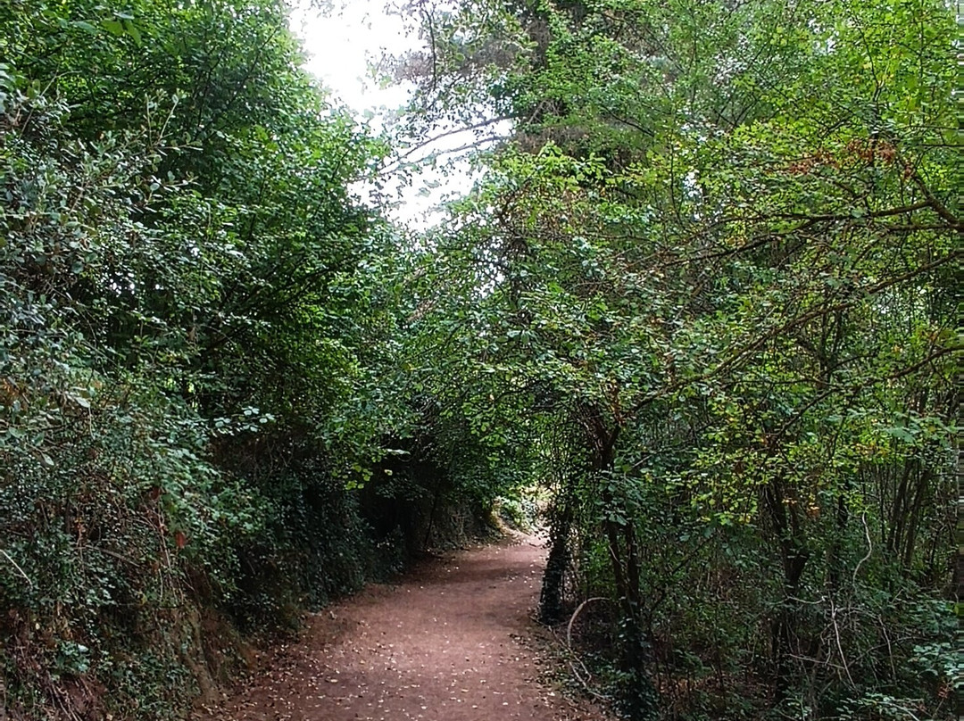 Roca Foradada-Prades必去景点