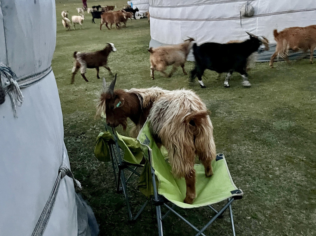 Goyo Travel-乌兰巴托必去景点