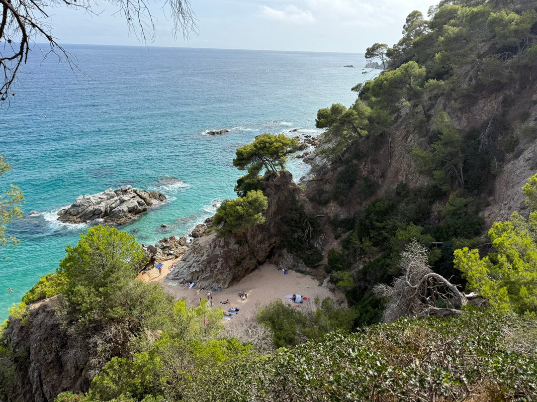 Playa Cala Sa Boadella-犹兰特德玛必去景点