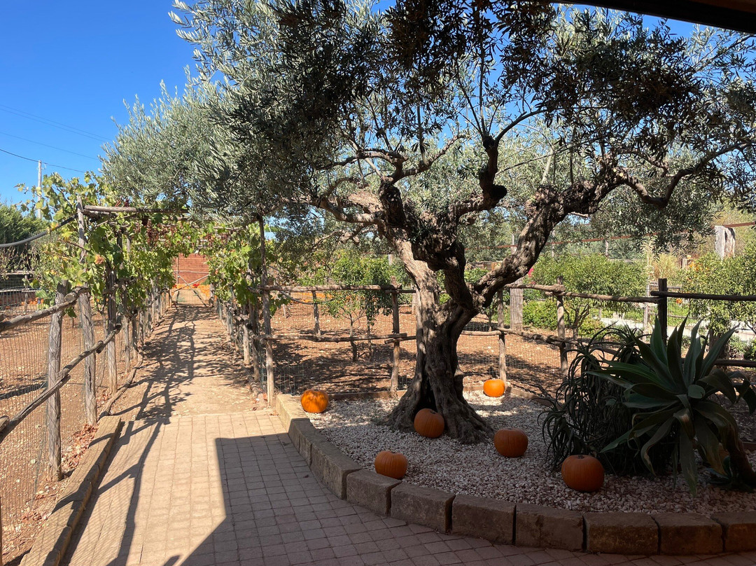 Fattoria Bassa Corte-Ribera必去景点