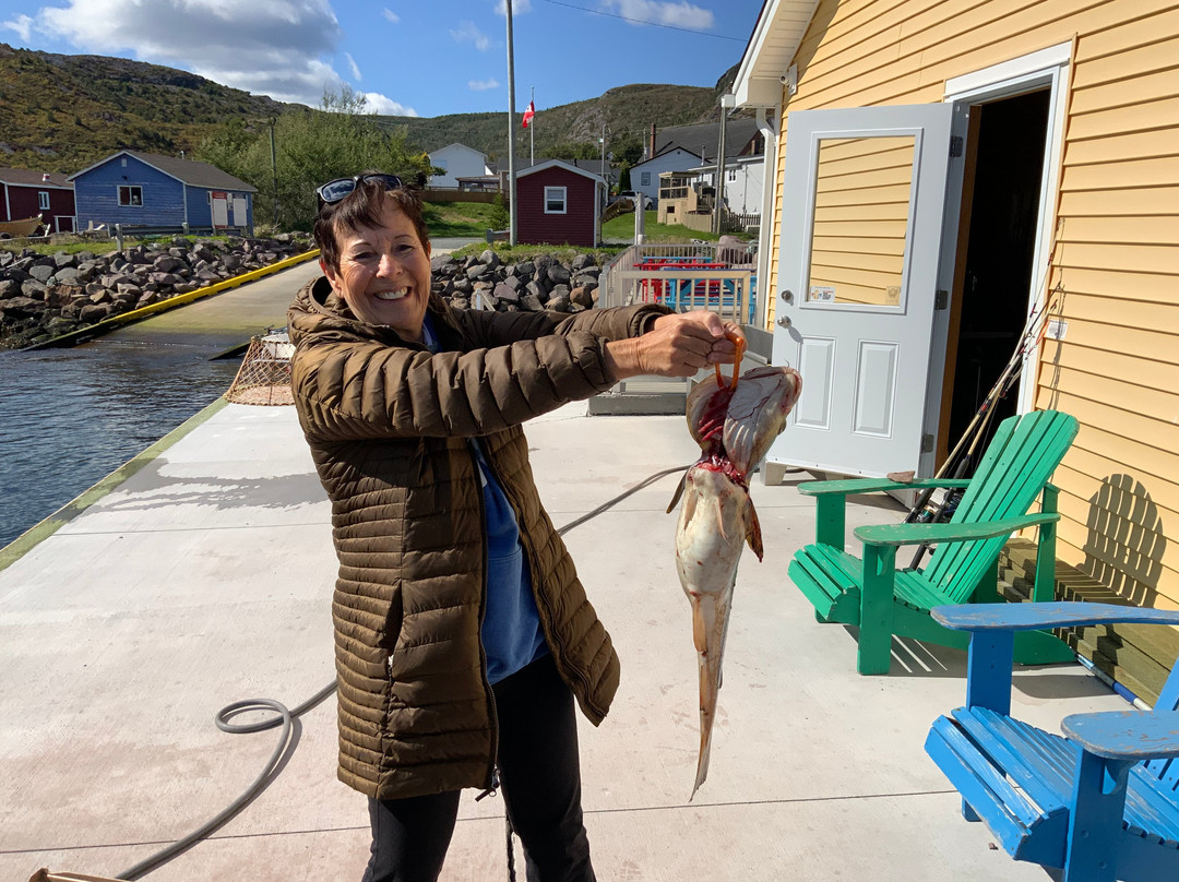 Ocean Quest Adventure Resort-Conception Bay South必去景点