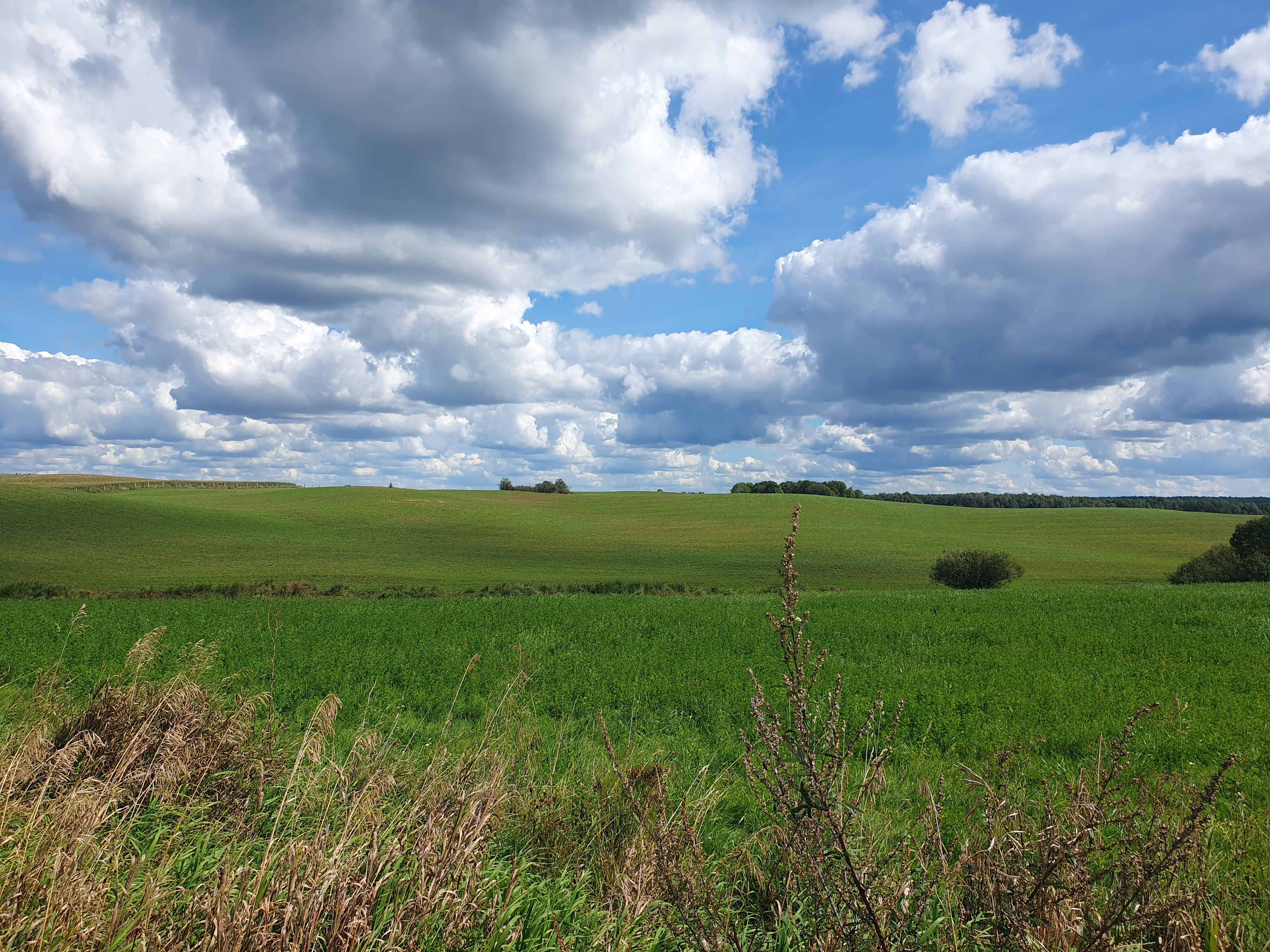 Leszkiland Pension-官方