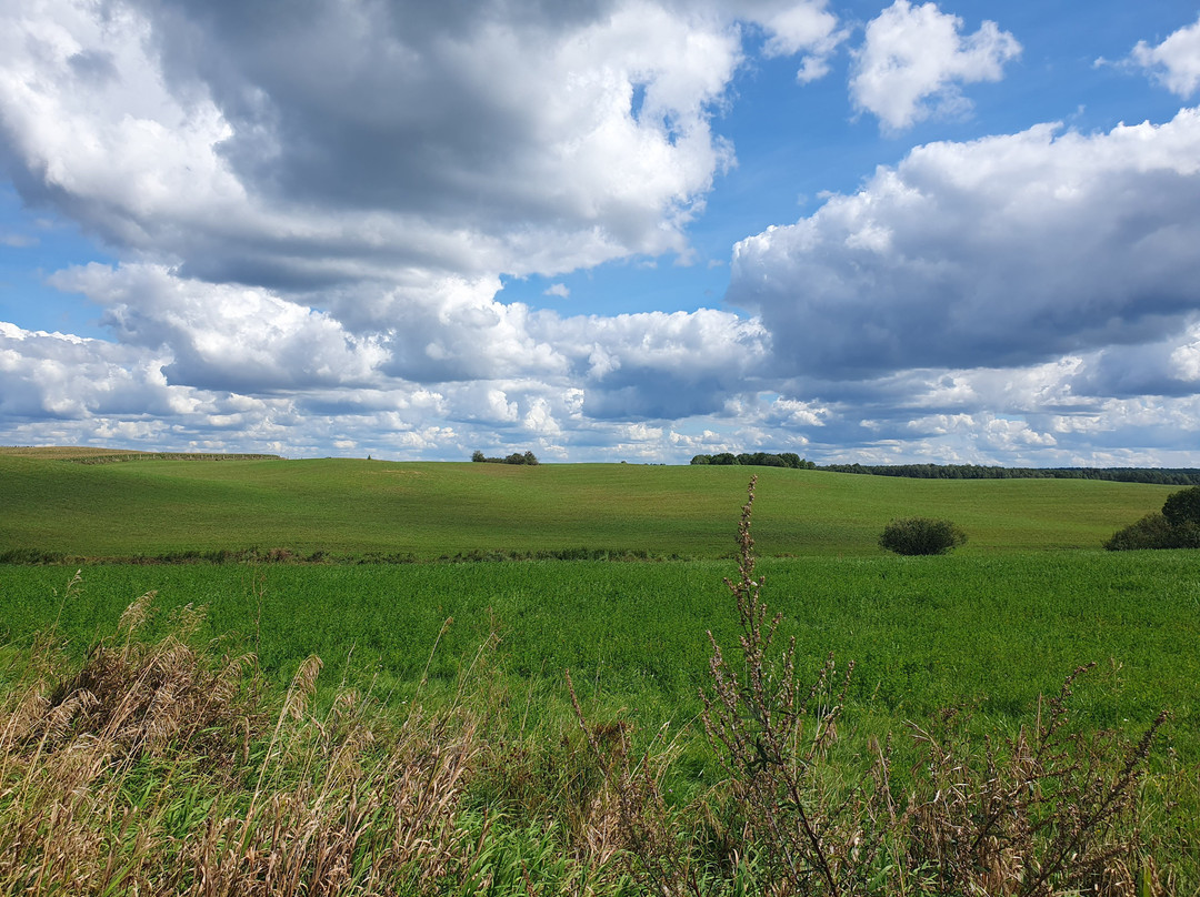 Leszkiland Pension主图