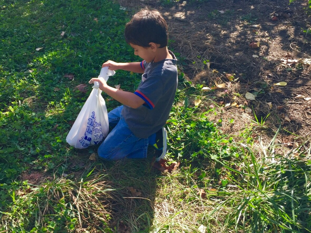 Jaswell’s Farm-Smithfield必去景点