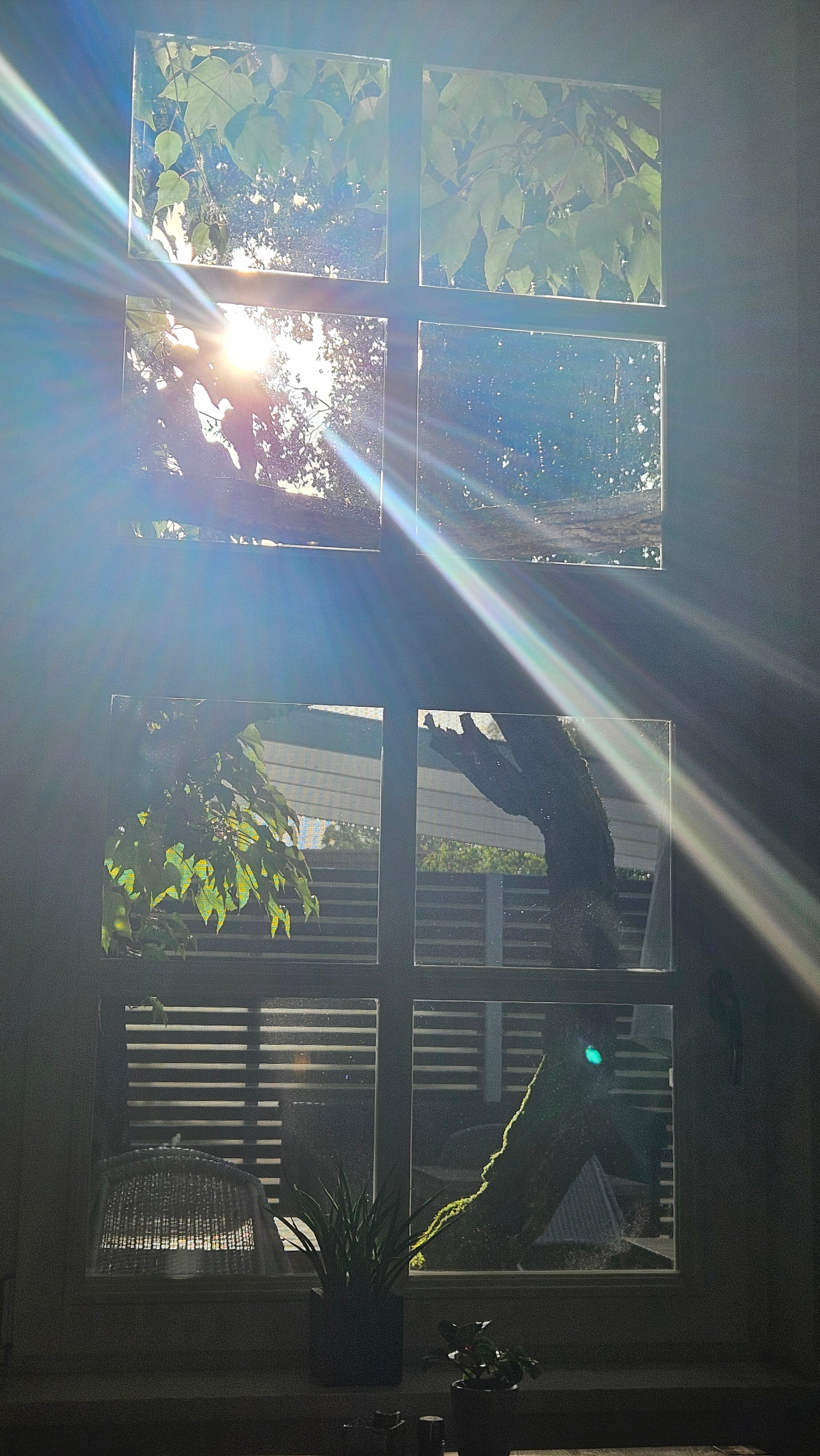 Altes Dichterhaus-官方