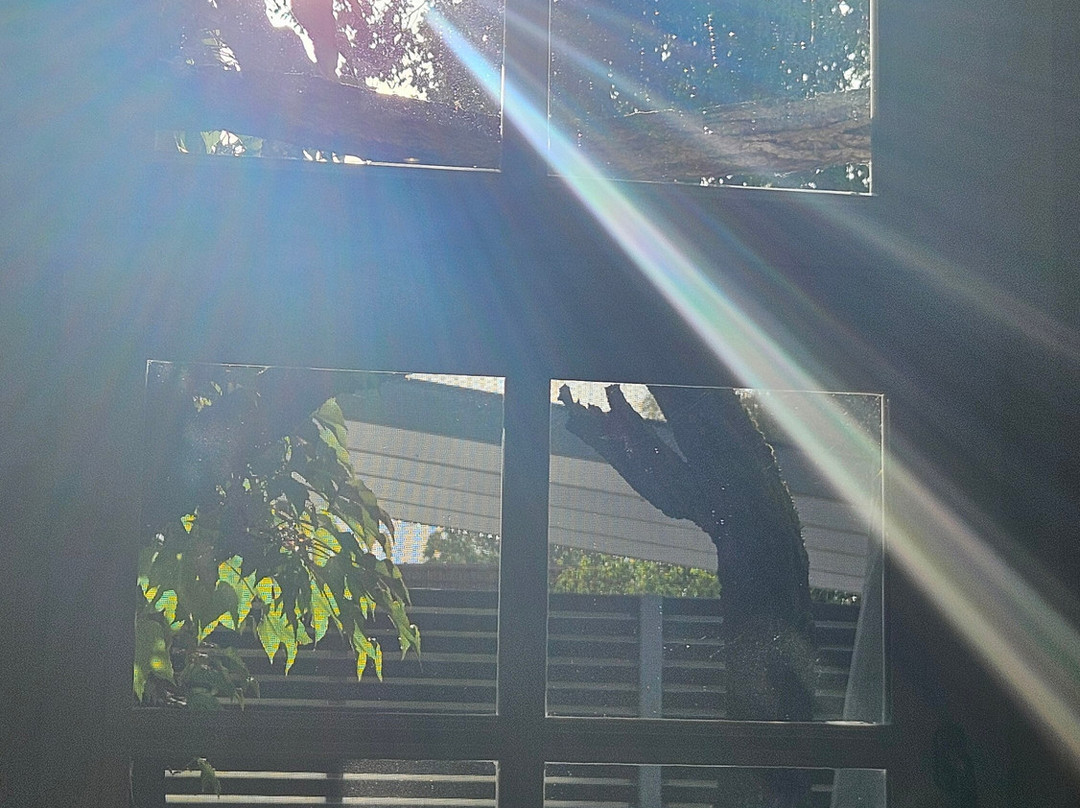 Altes Dichterhaus主图