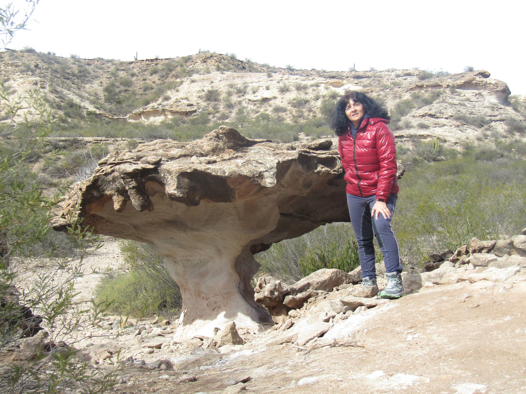 Parque Provincial El Chiflon-拉里奥哈必去景点