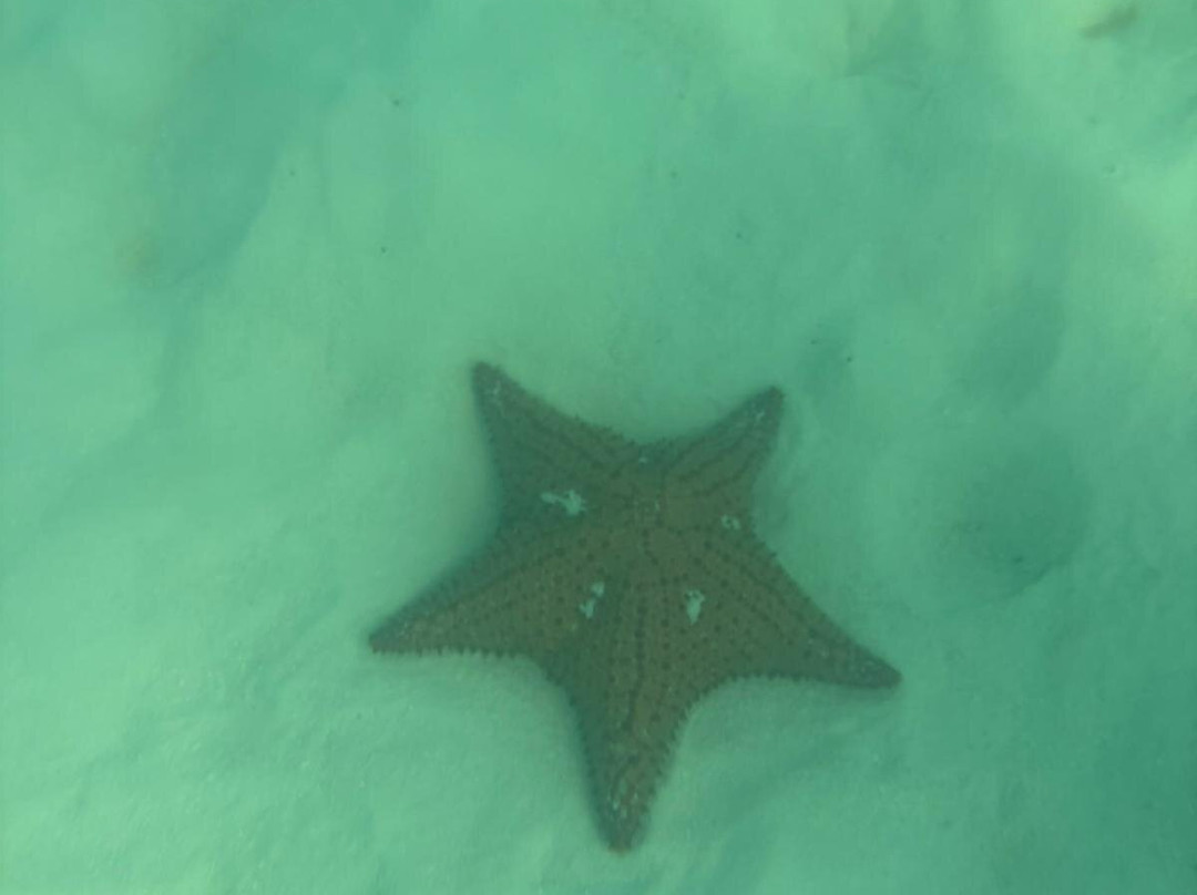 Italcruise-Bayahibe必去景点