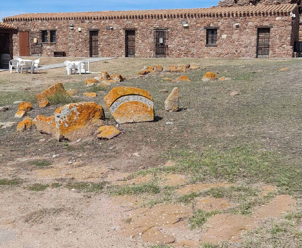 Capitan Shonny主图