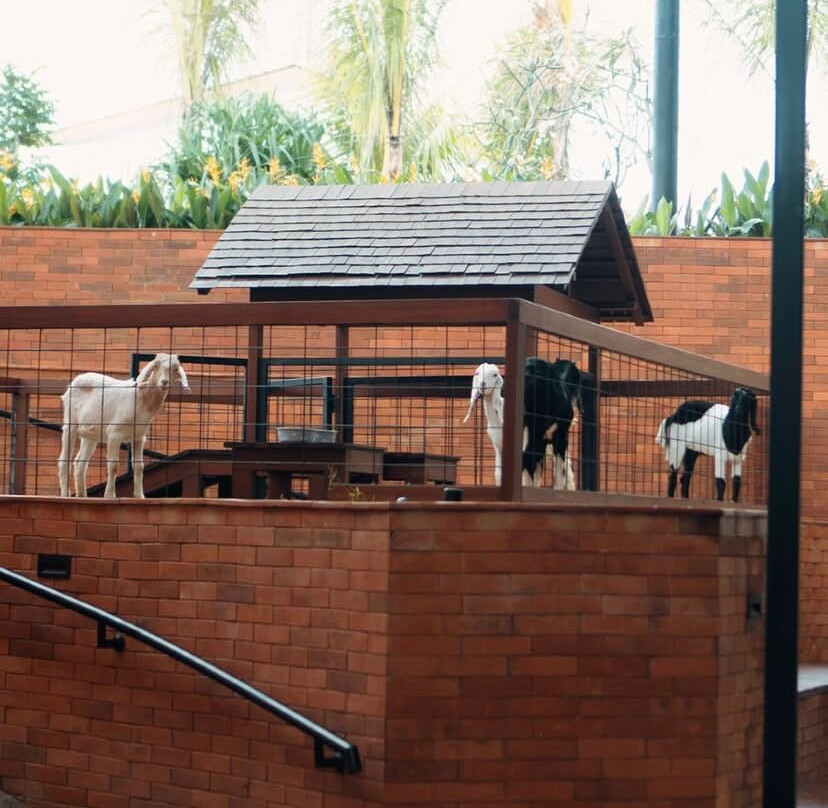 Mai Main Playground Canggu By Wonderspace-长谷必去景点