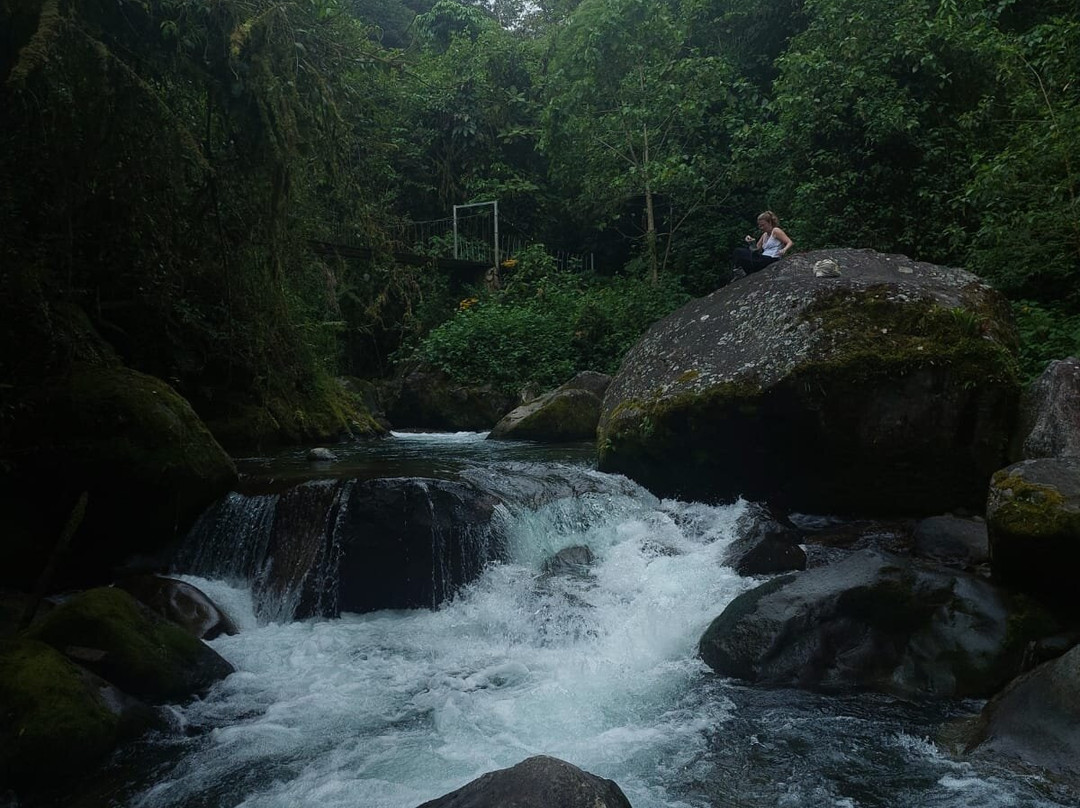 Cloudbridge Nature Reserve-San Gerardo De Rivas必去景点