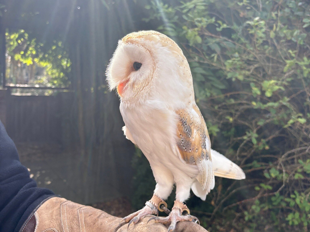 猴子天堂-纽波特必去景点