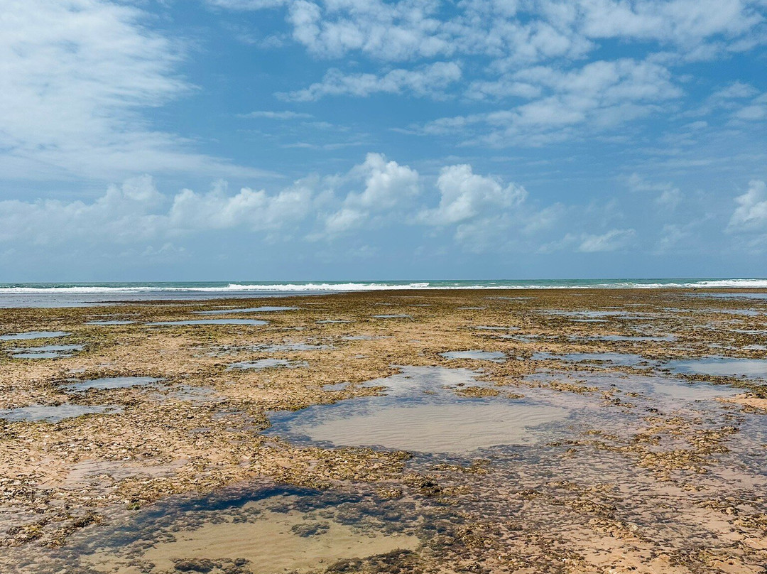 Algodoes Beach-Barra Grande必去景点