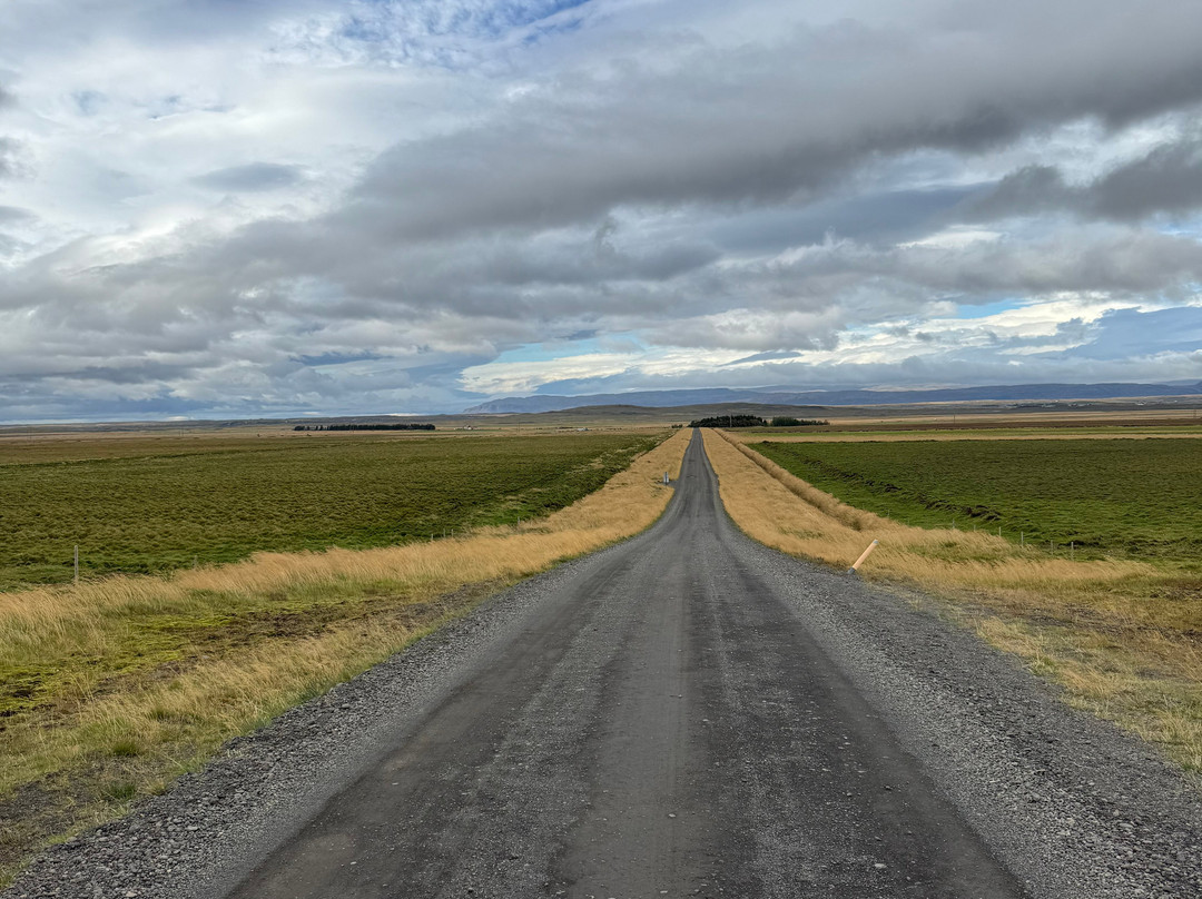 Guesthouse Milli Vina主图